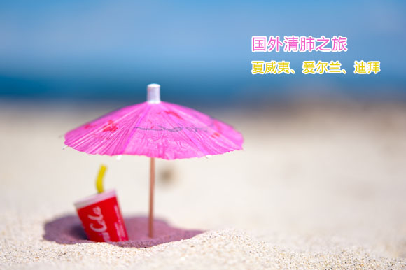 雾霾再见 和BB来一场清肺之旅