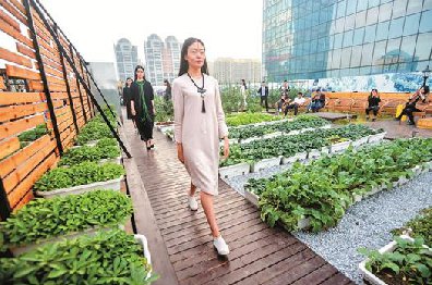 【秀场】田园农场上高楼时尚美女模特来走秀