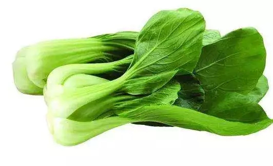 模特减肥运动多吃油菜是我们再熟悉不过的蔬菜